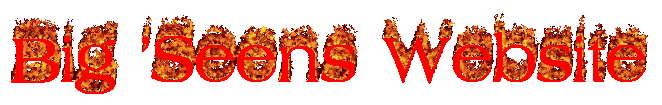 red text with a flame saying " big 'seens website, implying it is the website of a user named yaseen.